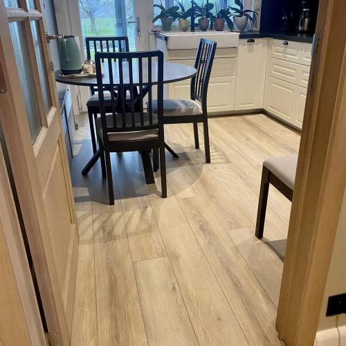 481502634_1150865423397350_329763547916093634_n